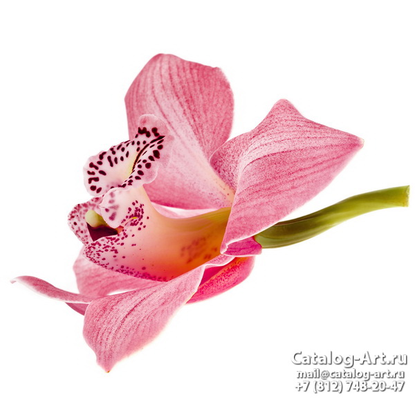 Натяжные потолки с фотопечатью - Розовые орхидеи 49